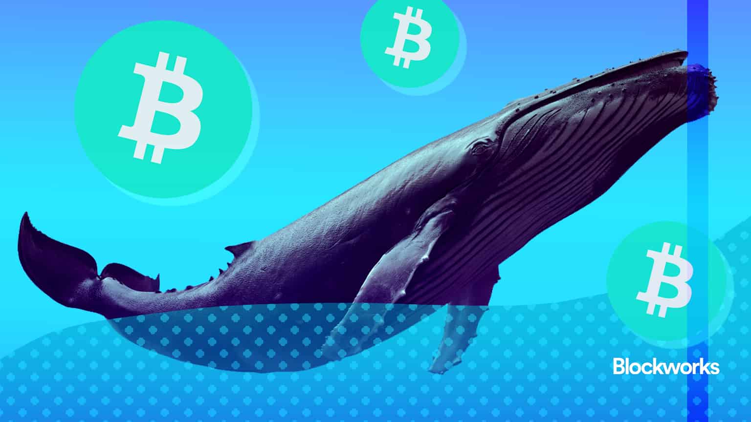article-image