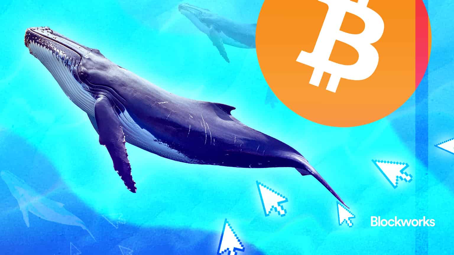 article-image